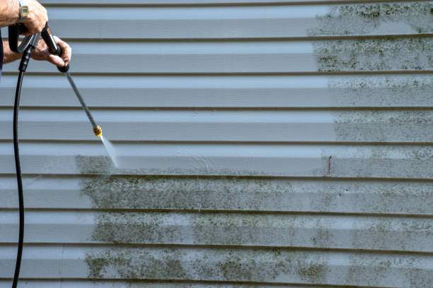 Best Yard Waste Removal  in Wchester, IN